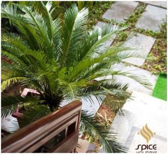 Spice Holidays Kochi Exterior photo
